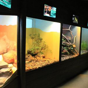 Reptile House tanks