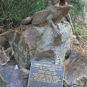 bronze Bearded Dragon sculpture for blind people to touch