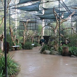 walk-through parrot aviary