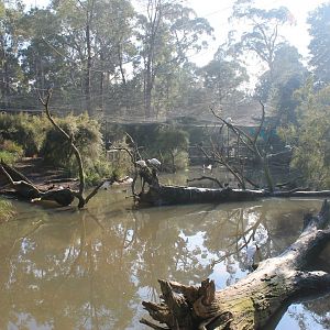 walk-through Wetland Aviary