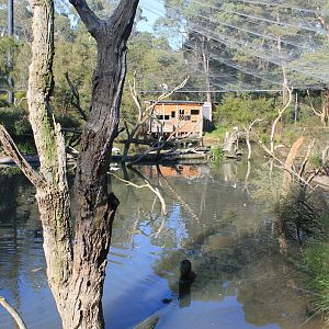 walk-through Wetland Aviary