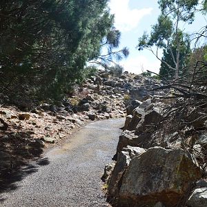 Cleland- Yellow Footed Walkthrough 1