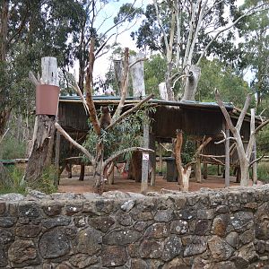 Cleland- Koala Enclosure