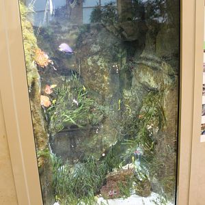 Aquarium