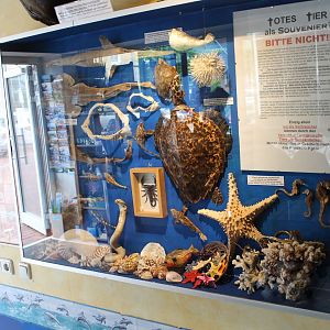 Ridiculous souvenirs