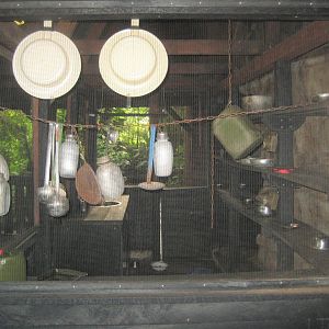 Randers Regnskov - Secondary coati exhibit