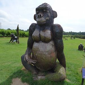 Mountain Gorilla at British Iron Works Centre