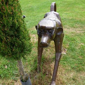 Chacma Baboon at British Iron Works Centre