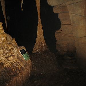 Randers Regnskov - Skull Cave