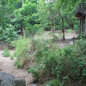 Emu enclosure