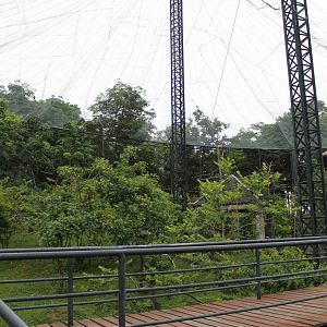 interior of Bird's Land walk-through aviary