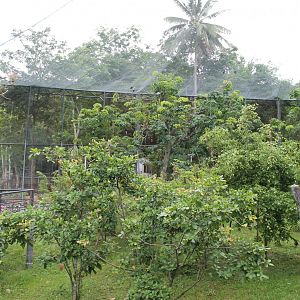 interior of Bird's Land walk-through aviary