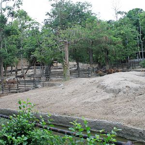 deer enclosures (for Thamin, Rusa, Sambar)
