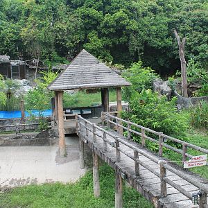 otter and binturong enclosures