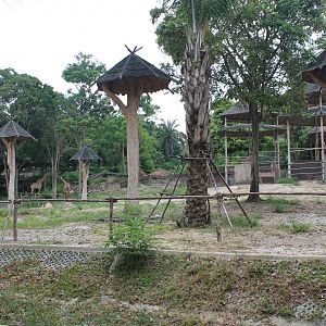 African Savannah enclosure