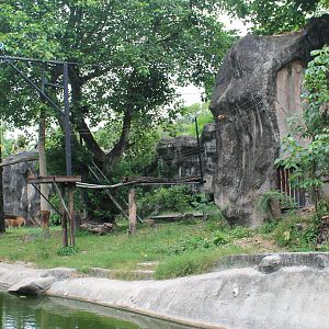 enclosure for Indochinese Tigers