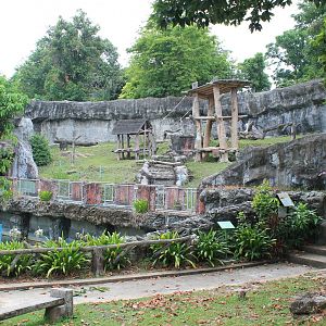 Chimpanzee enclosure
