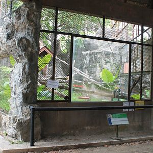 Ring-tailed Lemur cage