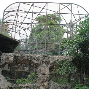 Dusky Langur cage