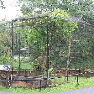 cage for Sunda Slow Loris (Nycticebus coucang)