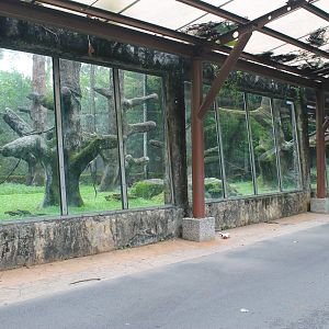 enclosure for Stump-Tailed Macaques (Macaca arctoides)