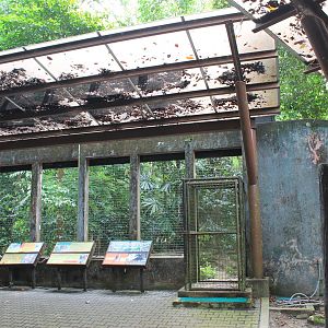 enclosure for Dholes (Cuon alpinus)