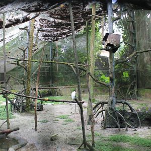 interior of a walk-through aviary