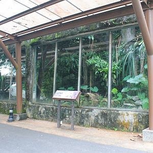 civet/mongoose enclosure