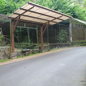 cage for Leopard Cat (Prionailurus bengalensis)