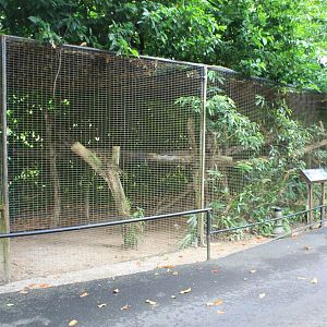 cage for Common Palm Civet (Paradoxurus hermaphroditus)