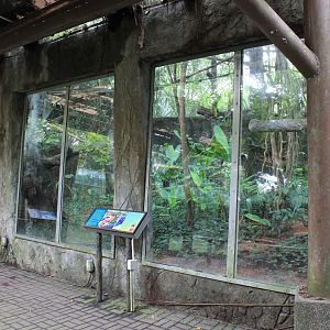 enclosure for Clouded Leopard