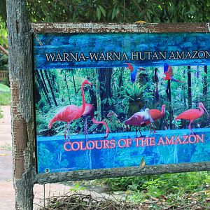 Amazon walk-through aviary sign