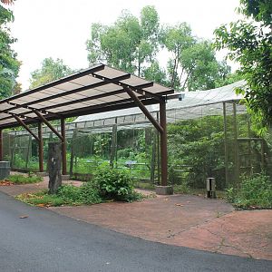 walk-through Amazon aviary (closed and empty)