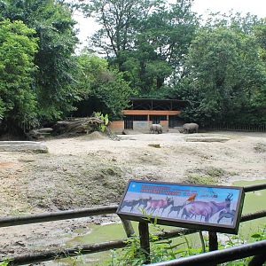 White Rhinoceros enclosure