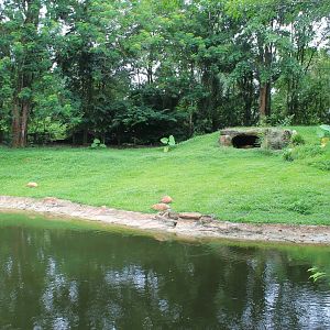 Malayan Tiger enclosure