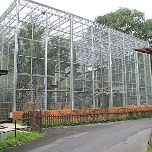 very large and tall cage for a Black Panther