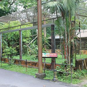cage for Asiatic Golden Cat