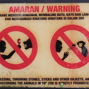 Do not feed your roast chicken to the hyaenas!!