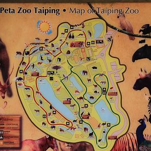 Taiping Zoo, day map