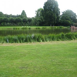 Tierpark Hagenbeck - Birma-Teich