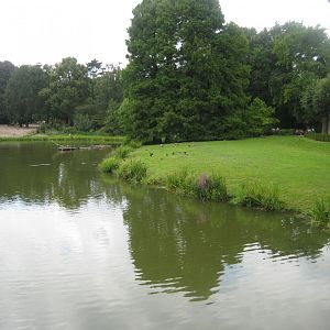 Tierpark Hagenbeck - Birma-Teich