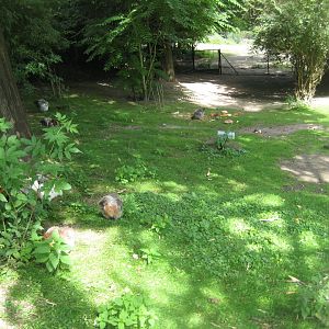 Tierpark Hagenbeck - Chicken exhibit