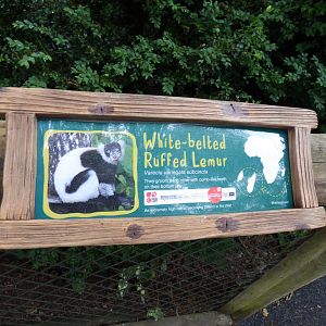 White-Belted Ruffed Lemur Signage