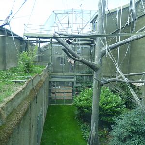 Tuan's Enclosure (Through peek-hole)