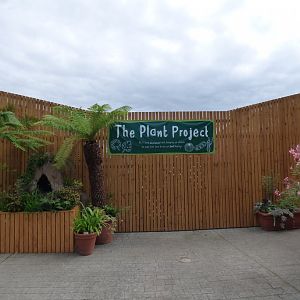 'The Plant Project'