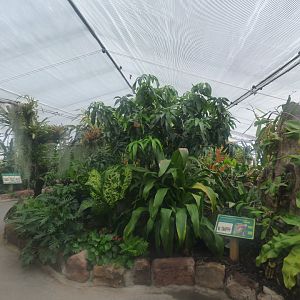 View through Entrance of 'The Plant Project'