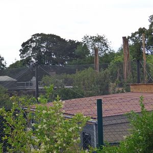 New Aviary in Islands