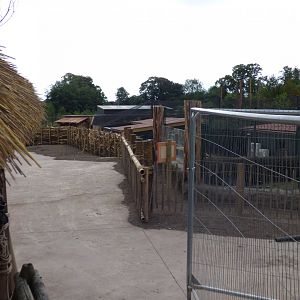 Malayan Tapir Viewing Area in Islands
