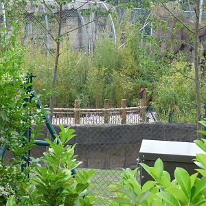 New Malayan Tapir Viewing Area