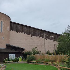 Outdoor Sloth Enclosure